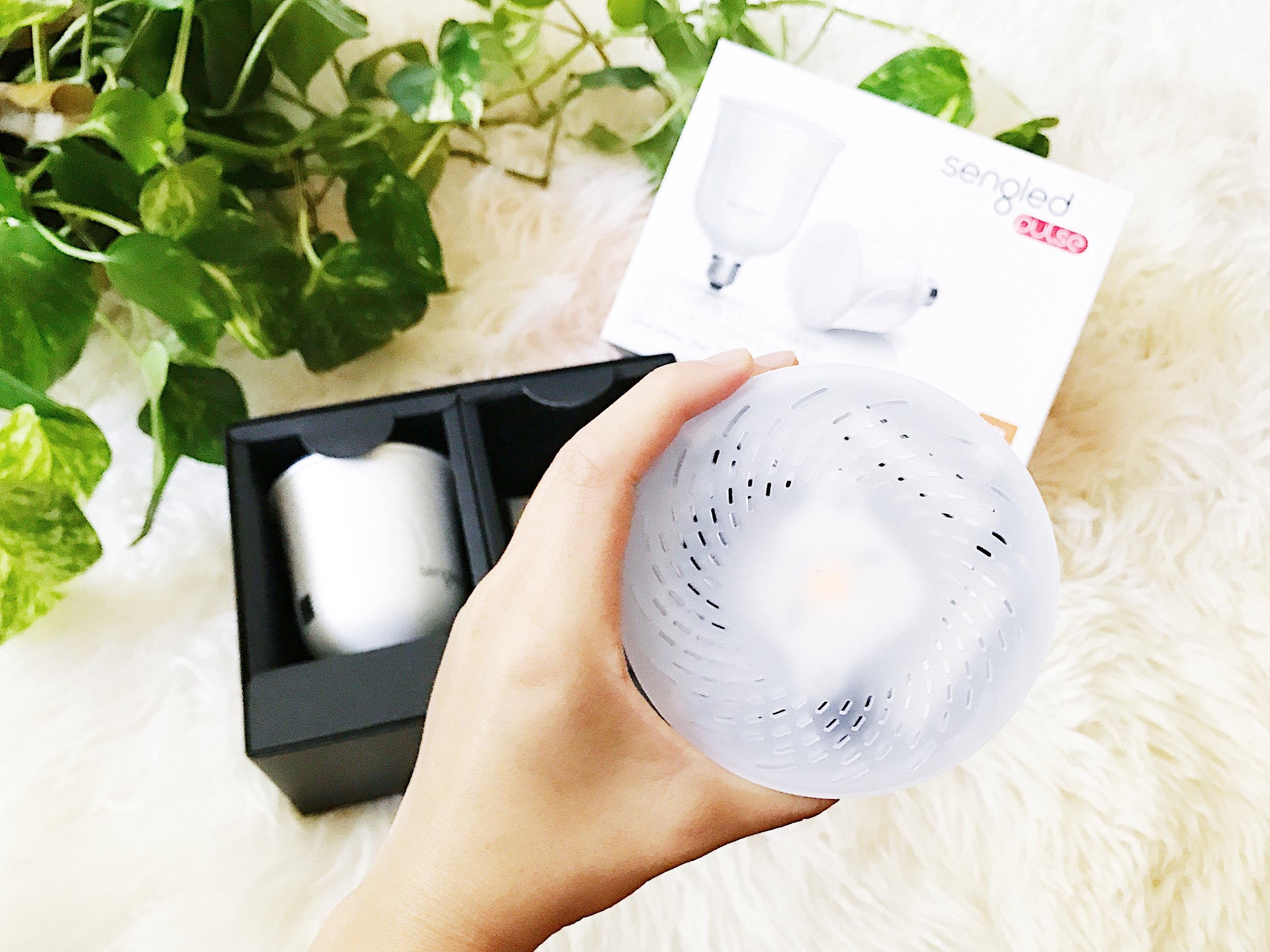 Sengled smart lights deals